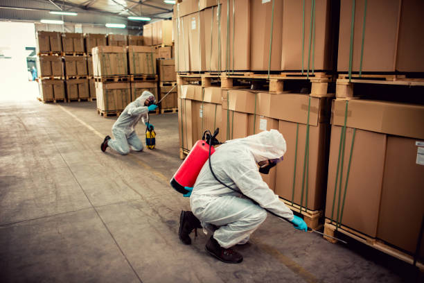 Best Termite Control Services  in Woodcliff Lake, NJ