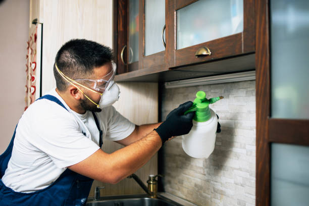 Best Local Pest Control Services  in Woodcliff Lake, NJ