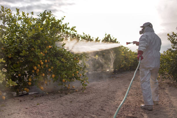 Best Affordable Pest Control Services  in Woodcliff Lake, NJ
