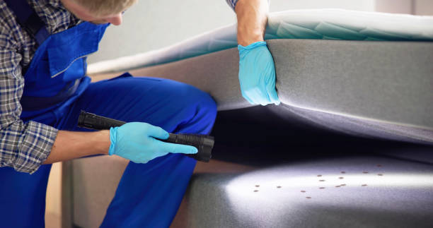 Best Emergency Pest Control  in Woodcliff Lake, NJ