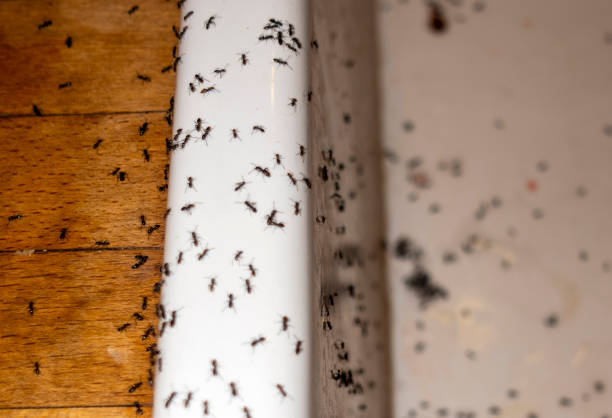 Woodcliff Lake, NJ Pest Control Company