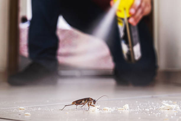 Best Wasp Removal Services  in Woodcliff Lake, NJ