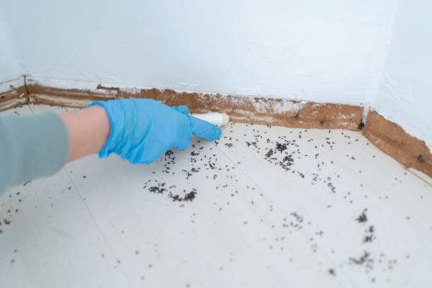 Best Pest Prevention Services  in Woodcliff Lake, NJ